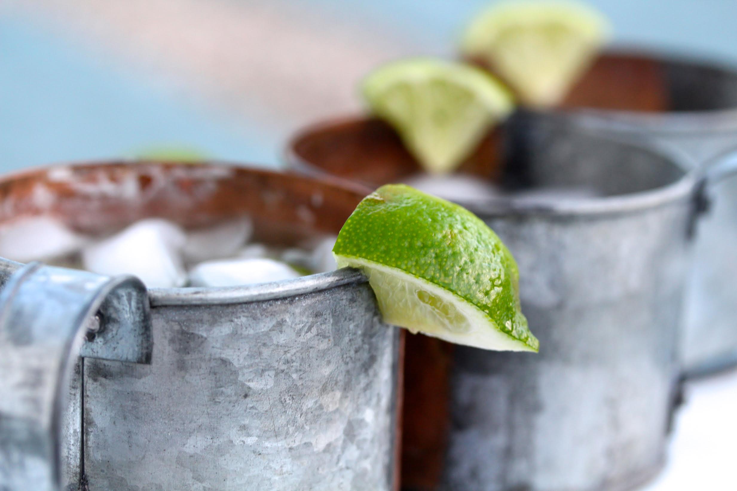 Moscow Mule Recipe | Rockwell